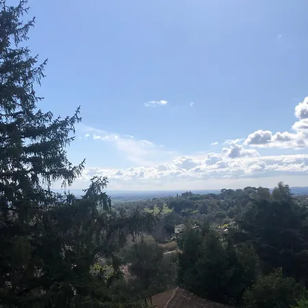La Torre Del Gatto